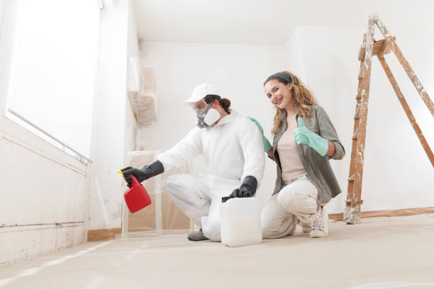 Mold Documentation for Insurance Claims in Ives Estates, FL